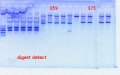 Thumbnail for version as of 09:18, 8 November 2011