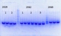 Thumbnail for version as of 17:19, 7 February 2014