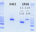 Thumbnail for version as of 16:15, 8 May 2015