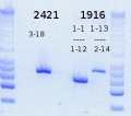 Thumbnail for version as of 16:18, 8 May 2015