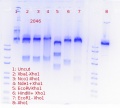 Thumbnail for version as of 12:24, 20 November 2017