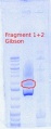 Thumbnail for version as of 14:15, 10 May 2012