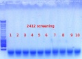 Thumbnail for version as of 16:56, 26 March 2015