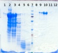 Thumbnail for version as of 12:01, 6 August 2013