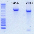 Thumbnail for version as of 16:20, 1 May 2015