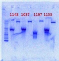 Thumbnail for version as of 19:30, 6 June 2012