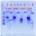 Thumbnail for version as of 09:32, 7 June 2012