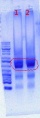 Thumbnail for version as of 10:13, 7 June 2012