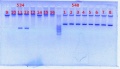 Thumbnail for version as of 17:05, 9 February 2012