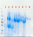 Thumbnail for version as of 15:07, 14 June 2012