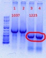 Thumbnail for version as of 11:53, 8 June 2012