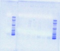 Thumbnail for version as of 12:20, 30 May 2012