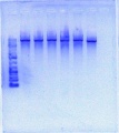 Thumbnail for version as of 10:56, 1 June 2012