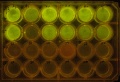 Thumbnail for version as of 17:44, 15 October 2014