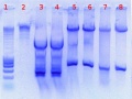 Thumbnail for version as of 15:08, 20 July 2011