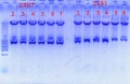 Thumbnail for version as of 11:08, 2 October 2012