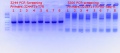 Thumbnail for version as of 13:06, 1 August 2018