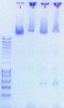 Thumbnail for version as of 16:51, 14 September 2011