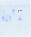 Thumbnail for version as of 15:27, 22 September 2016