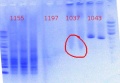 Thumbnail for version as of 14:42, 6 June 2012