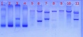 Thumbnail for version as of 16:26, 5 August 2011