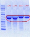 Thumbnail for version as of 15:11, 4 June 2012
