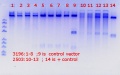 Thumbnail for version as of 14:42, 5 June 2018