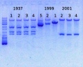 Thumbnail for version as of 11:40, 13 January 2014