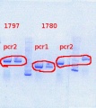 Thumbnail for version as of 11:34, 23 July 2013