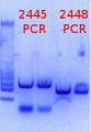 Thumbnail for version as of 16:23, 29 May 2015