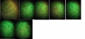 Thumbnail for version as of 09:51, 4 October 2012