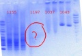 Thumbnail for version as of 14:42, 6 June 2012