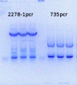 Thumbnail for version as of 15:48, 9 July 2014