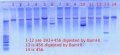 Thumbnail for version as of 17:18, 18 November 2011