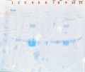 Thumbnail for version as of 19:22, 10 August 2018