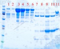 Thumbnail for version as of 17:32, 7 December 2011