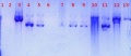 Thumbnail for version as of 14:11, 27 July 2011