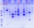 Thumbnail for version as of 15:39, 31 May 2020