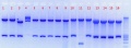 Thumbnail for version as of 16:05, 26 August 2011