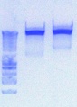 Thumbnail for version as of 16:23, 21 June 2012