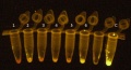 Thumbnail for version as of 12:38, 26 March 2011