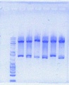 Thumbnail for version as of 21:01, 3 June 2012