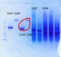 Thumbnail for version as of 21:28, 5 June 2012