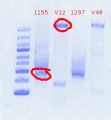 Thumbnail for version as of 21:49, 5 June 2012