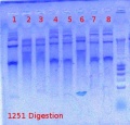 Thumbnail for version as of 11:53, 17 July 2012