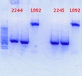 Thumbnail for version as of 16:14, 7 July 2014