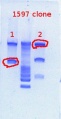 Thumbnail for version as of 12:50, 9 January 2013