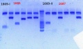 Thumbnail for version as of 16:54, 22 February 2013