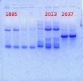 Thumbnail for version as of 17:48, 14 February 2014