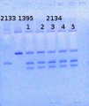 Thumbnail for version as of 15:09, 5 April 2014